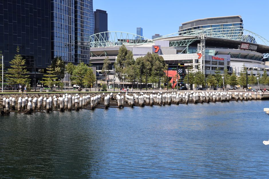 A marina with a row of weathered wooden pilings topped with white protective caps extending into calm, reflective water in the foreground. Behind the marina, there is a promenade lined with evenly spaced green deciduous trees and pedestrians walking along the paved pathway. In the background, a modern arena or stadium structure with a metallic framework and curved roof designs dominates the scene, accompanied by tall glass skyscrapers and other contemporary buildings. The sky is clear and bright, casting natural daylight over the area, which showcases a typical urban waterfront scene. The environment suggests a city setting where private or alternative waste handling, such as on-site clearance or independent rubbish disposal, might be relevant, aligning with services like those provided by Rubbish Removal Docklands.