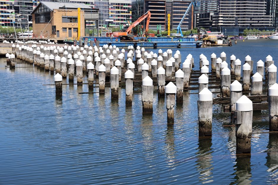 A marina with a row of weathered wooden pilings topped with white protective caps extending into calm, reflective water in the foreground. Behind the marina, there is a promenade lined with evenly spaced green deciduous trees and pedestrians walking along the paved pathway. In the background, a modern arena or stadium structure with a metallic framework and curved roof designs dominates the scene, accompanied by tall glass skyscrapers and other contemporary buildings. The sky is clear and bright, casting natural daylight over the area, which showcases a typical urban waterfront scene. The environment suggests a city setting where private or alternative waste handling, such as on-site clearance or independent rubbish disposal, might be relevant, aligning with services like those provided by Rubbish Removal Docklands.